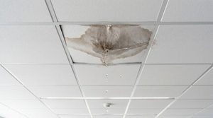 water damage remediation